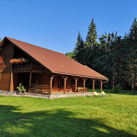 Casa De Vacanta Dintre Brazi Toplita  Luaran gambar